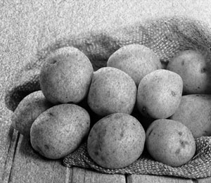 Иллюстрация к книге — Советское домоводство [i_306.jpg]