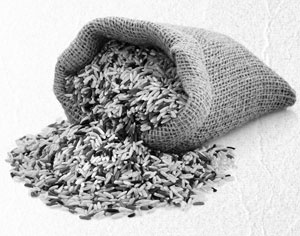 Иллюстрация к книге — Советское домоводство [i_333.jpg]