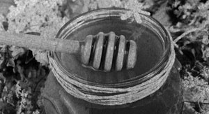 Иллюстрация к книге — Советское домоводство [i_345.jpg]