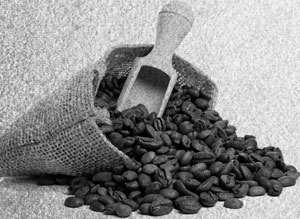 Иллюстрация к книге — Советское домоводство [i_361.jpg]