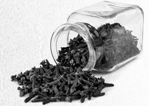 Иллюстрация к книге — Советское домоводство [i_378.jpg]