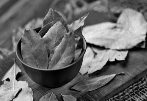 Иллюстрация к книге — Советское домоводство [i_382.jpg]