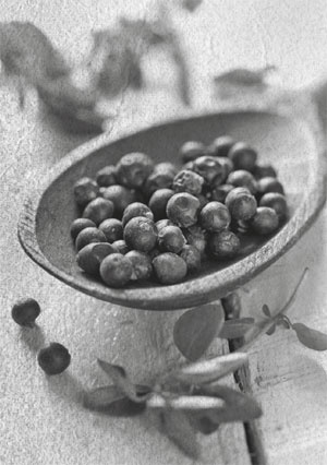 Иллюстрация к книге — Советское домоводство [i_384.jpg]