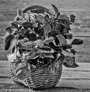 Иллюстрация к книге — Советское домоводство [i_385.jpg]