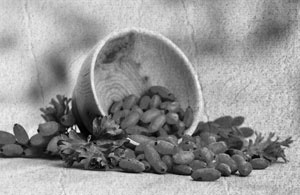 Иллюстрация к книге — Советское домоводство [i_387.jpg]