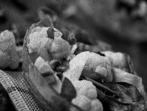 Иллюстрация к книге — Советское домоводство [i_436.jpg]