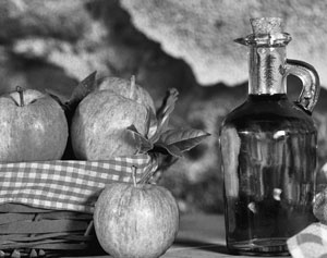 Иллюстрация к книге — Советское домоводство [i_443.jpg]