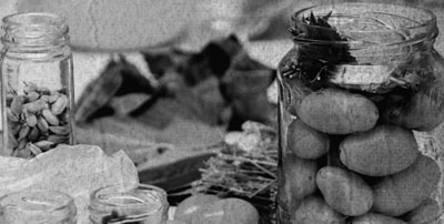 Иллюстрация к книге — Советское домоводство [i_465.jpg]