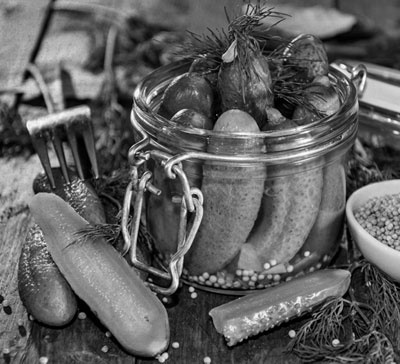 Иллюстрация к книге — Советское домоводство [i_467.jpg]