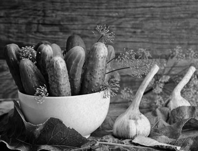 Иллюстрация к книге — Советское домоводство [i_468.jpg]