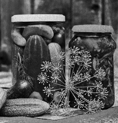 Иллюстрация к книге — Советское домоводство [i_471.jpg]