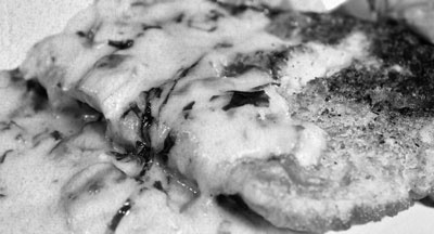 Иллюстрация к книге — Советское домоводство [i_502.jpg]