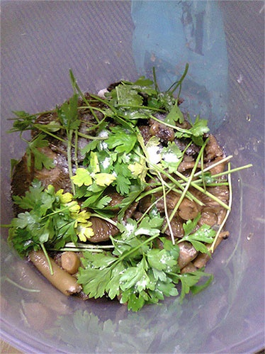 Иллюстрация к книге — Кулинарный бал [i_013.jpg]