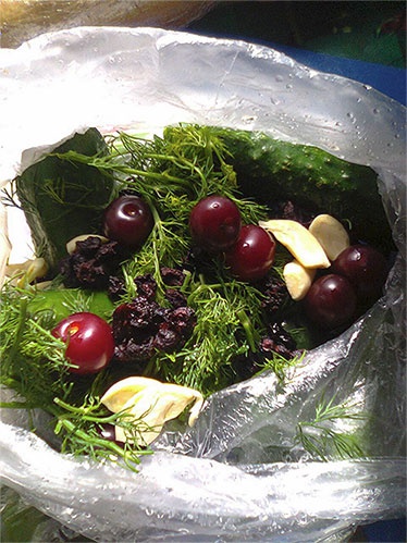 Иллюстрация к книге — Кулинарный бал [i_014.jpg]