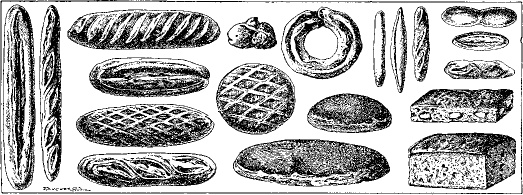 Иллюстрация к книге — Русская кулинарная книга. Кушать подано! [_467_3.jpg]