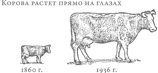 Иллюстрация к книге — Как лгать при помощи статистики [i_047.jpg]