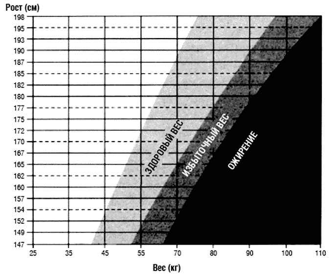 Иллюстрация к книге — Химия здорового питания [i_006.jpg]