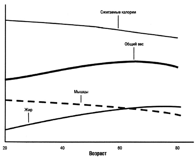 Иллюстрация к книге — Химия здорового питания [i_008.jpg]