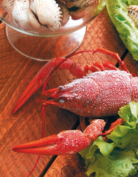 Иллюстрация к книге — Суши и роллы. Супы и соусы. Десерты и выпечка. Лучшие рецепты земли рисовых колосьев [Autogen_eBook_id12.jpg]