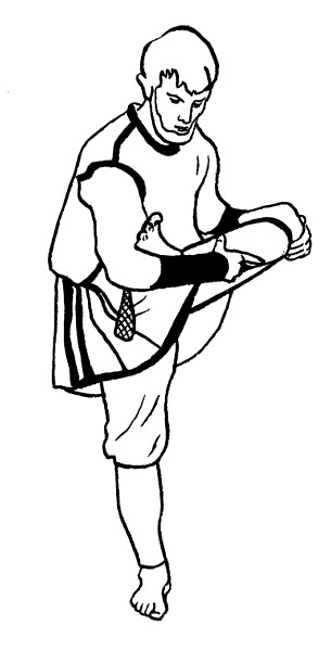 Иллюстрация к книге — Книга здоровья богатырей русских. Славянкая система здоровья. Русская здрава, массаж, питание [i_027.jpg]