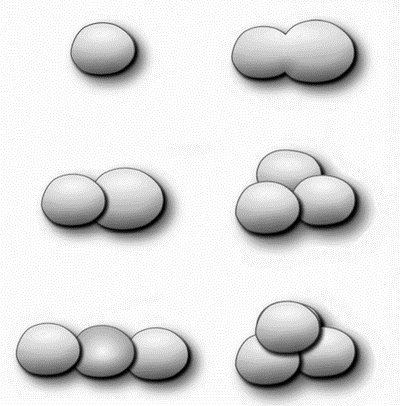 Иллюстрация к книге — Профессия кондитер. Учебное пособие [i_019.jpg]