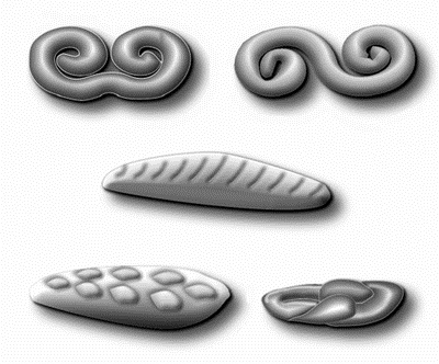 Иллюстрация к книге — Профессия кондитер. Учебное пособие [i_020.jpg]