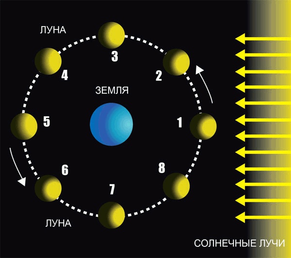 Иллюстрация к книге — Звёздное небо [_030.jpg]