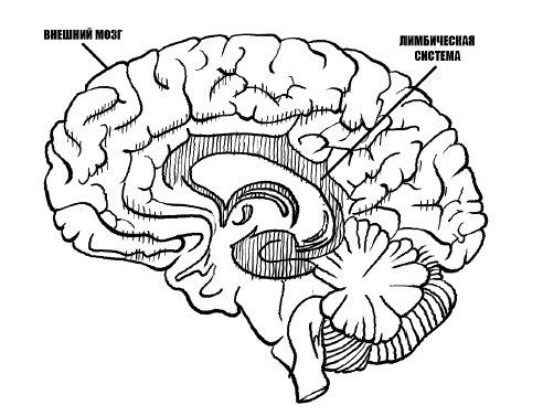 Иллюстрация к книге — Тайная опора. Привязанность в жизни ребенка [i_006.jpg]