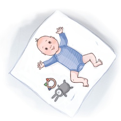 Иллюстрация к книге — Ваш малыш неделя за неделей. От рождения до 6 месяцев [i_012.jpg]