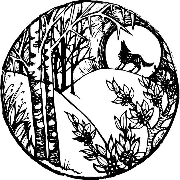 Иллюстрация к книге — Foxcraft. Книга 1. Зачарованные [i_004.jpg]