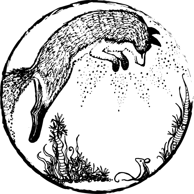 Иллюстрация к книге — Foxcraft. Книга 1. Зачарованные [i_008.jpg]