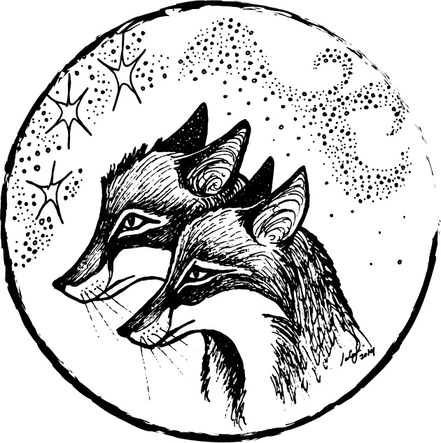 Иллюстрация к книге — Foxcraft. Книга 1. Зачарованные [i_009.jpg]