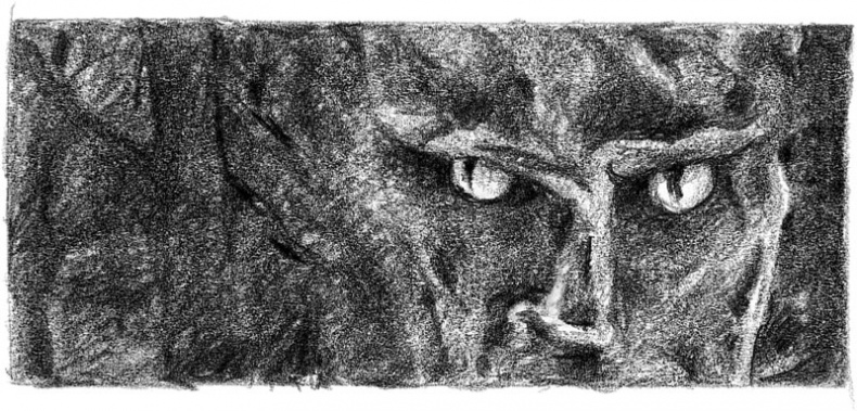 Иллюстрация к книге — Бесшабашный. Книга 3. Золотая пряжа [_22.jpg]