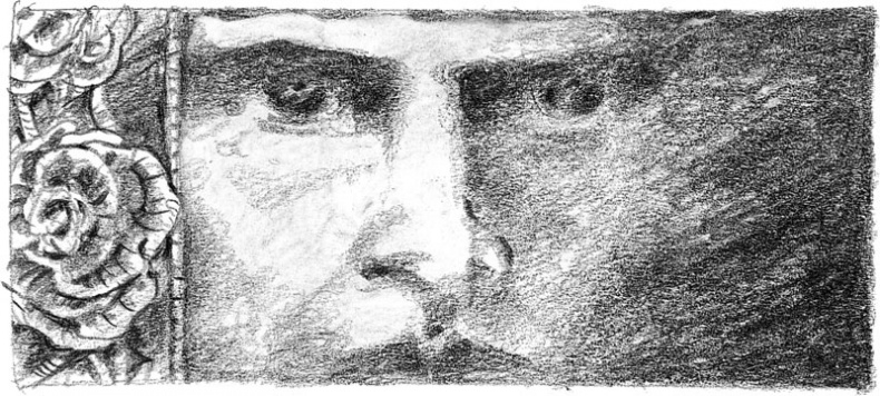 Иллюстрация к книге — Бесшабашный. Книга 3. Золотая пряжа [_24.jpg]