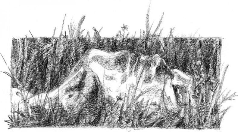 Иллюстрация к книге — Бесшабашный. Книга 3. Золотая пряжа [_26.jpg]