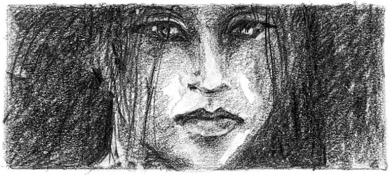 Иллюстрация к книге — Бесшабашный. Книга 3. Золотая пряжа [_31.jpg]