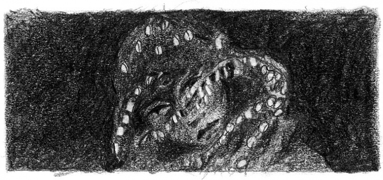 Иллюстрация к книге — Бесшабашный. Книга 3. Золотая пряжа [_37.jpg]