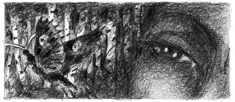 Иллюстрация к книге — Бесшабашный. Книга 3. Золотая пряжа [_40.jpg]