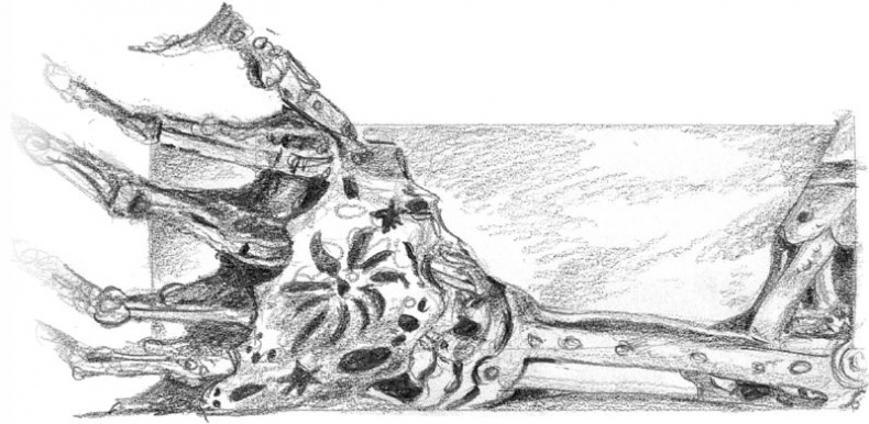 Иллюстрация к книге — Бесшабашный. Книга 3. Золотая пряжа [_45.jpg]