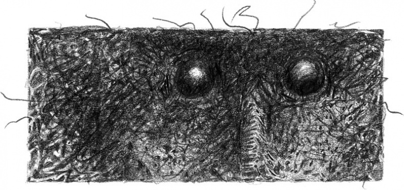 Иллюстрация к книге — Бесшабашный. Книга 3. Золотая пряжа [_66.jpg]