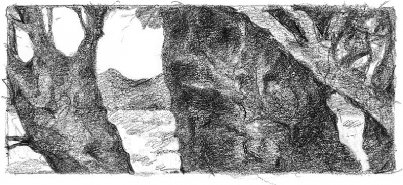 Иллюстрация к книге — Бесшабашный. Книга 3. Золотая пряжа [_72.jpg]