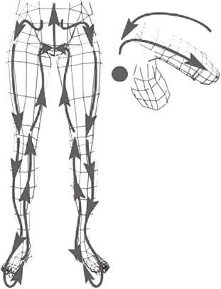 Иллюстрация к книге — Вечный танец Инь и ян [i_001.jpg]