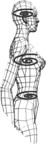 Иллюстрация к книге — Вечный танец Инь и ян [i_002.jpg]