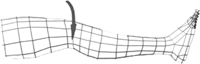 Иллюстрация к книге — Вечный танец Инь и ян [i_007.jpg]