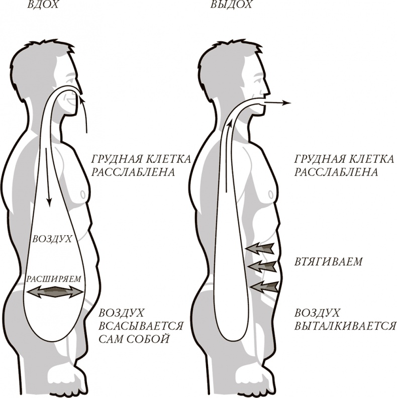 Иллюстрация к книге — Жизнь: зарядное устройство. Скрытые возможности вашего организма [Autogen_eBook_id0.jpg]
