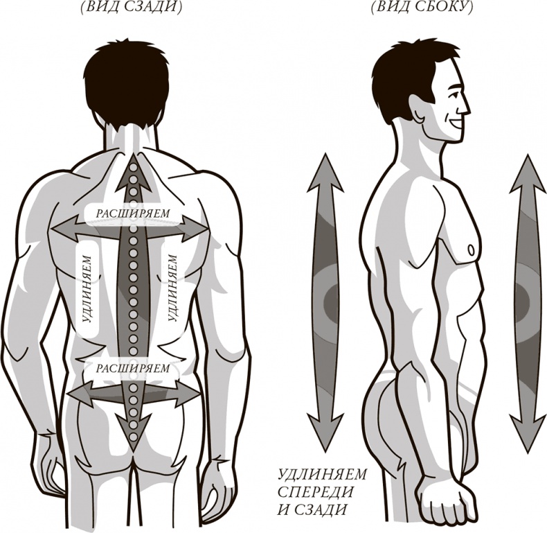Иллюстрация к книге — Жизнь: зарядное устройство. Скрытые возможности вашего организма [Autogen_eBook_id1.jpg]