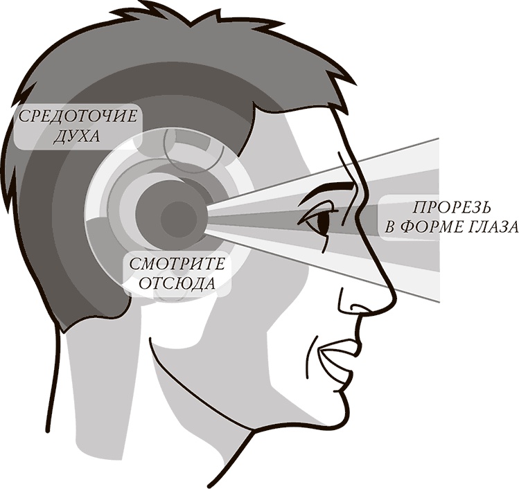 Иллюстрация к книге — Жизнь: зарядное устройство. Скрытые возможности вашего организма [Autogen_eBook_id10.jpg]