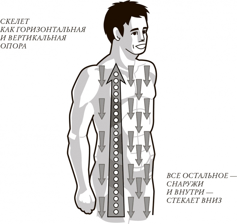 Иллюстрация к книге — Жизнь: зарядное устройство. Скрытые возможности вашего организма [Autogen_eBook_id2.jpg]