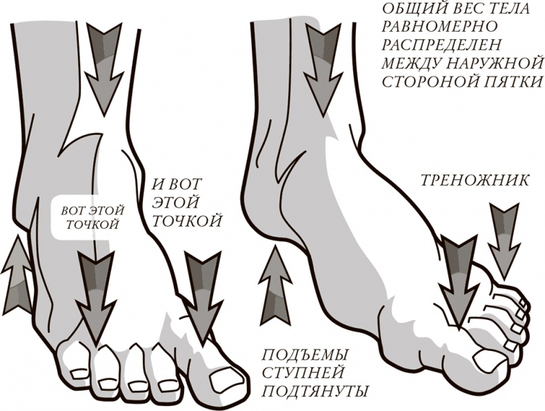 Иллюстрация к книге — Жизнь: зарядное устройство. Скрытые возможности вашего организма [Autogen_eBook_id3.jpg]