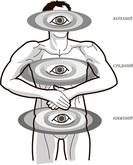 Иллюстрация к книге — Жизнь: зарядное устройство. Скрытые возможности вашего организма [Autogen_eBook_id5.jpg]